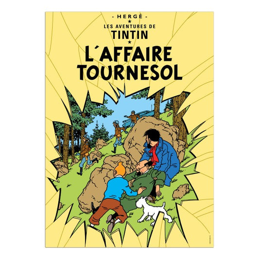 Tintin - Postkort - Tournesol mysteriet